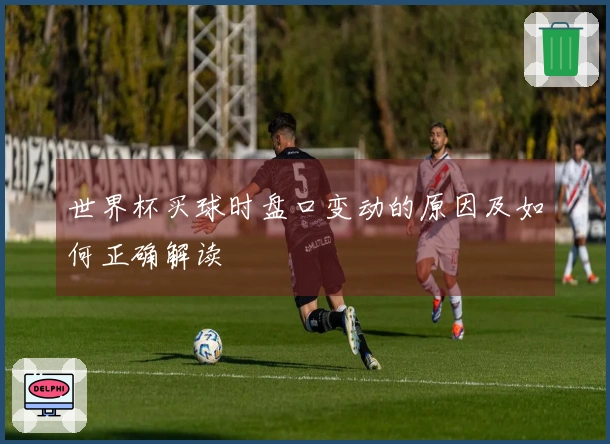 世界杯买球时盘口变动的原因及如何正确解读