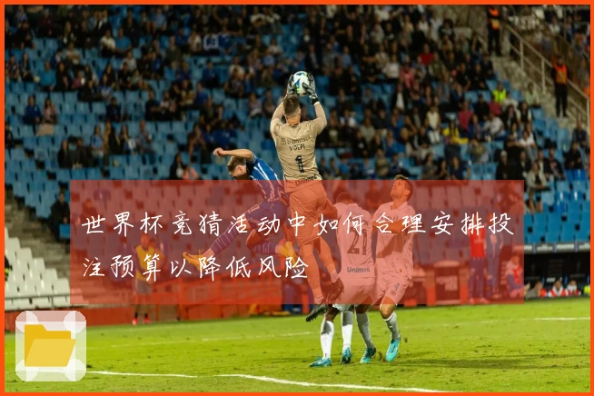 世界杯竞猜活动中如何合理安排投注预算以降低风险