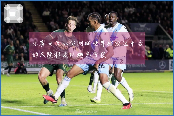 比赛当天如何判断世界杯投注平台的风险程度以避免亏损