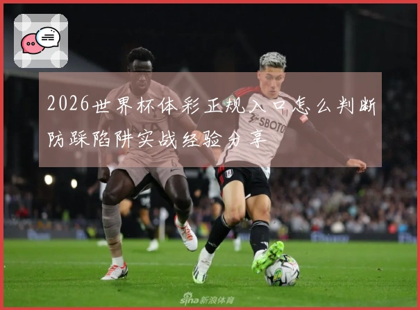 2026世界杯体彩正规入口怎么判断防踩陷阱实战经验分享