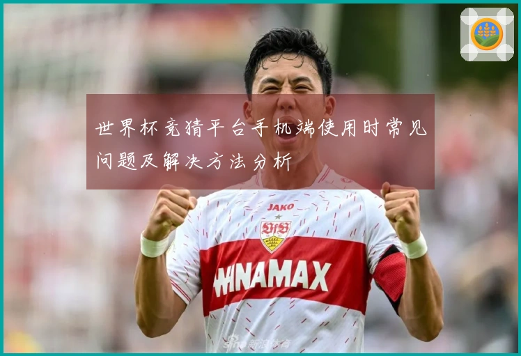 世界杯竞猜平台手机端使用时常见问题及解决方法分析