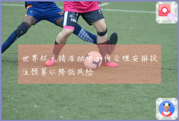 世界杯竞猜活动中如何合理安排投注预算以降低风险