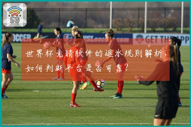 世界杯竞猜软件的返水规则解析，如何判断平台是否可靠？