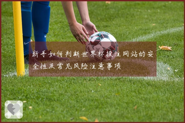新手如何判断世界杯投注网站的安全性及常见风险注意事项