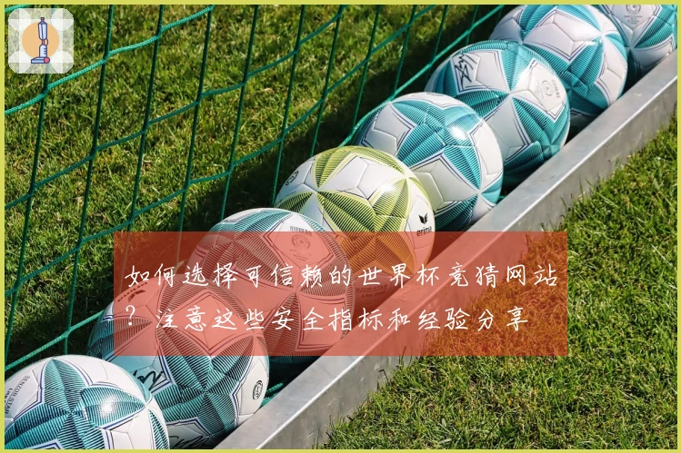 如何选择可信赖的世界杯竞猜网站？注意这些安全指标和经验分享