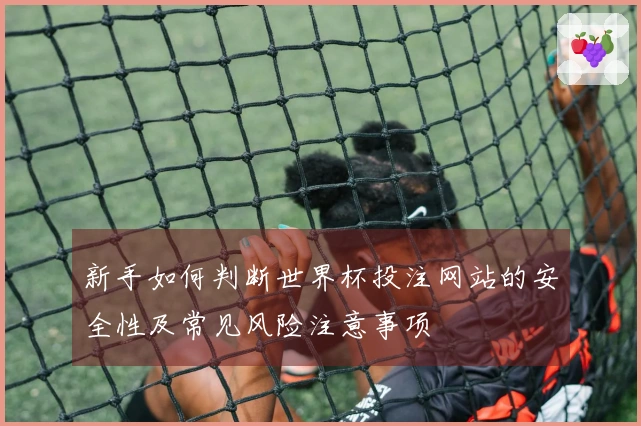 新手如何判断世界杯投注网站的安全性及常见风险注意事项